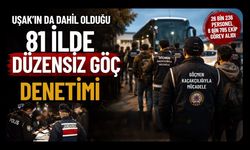 81 İlde Düzensiz Göç Denetimi, 25 Organizatör ve 355 Göçmen Yakalandı