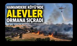 Hamamdere Köyü'nde Alevler Ormana Sıçradı