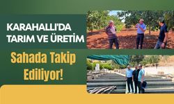 Karahallı'da Tarım ve Üretim Sahada Takip Ediliyor! İlçe Müdürü Atalay'dan Üreticilere Ziyaret