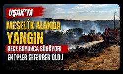Uşak'ta Meşelik Alanda Yangın Gece Boyunca Sürüyor! Ekipler Seferber Oldu