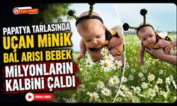 Papatya Tarlasında Uçan Minik Bal Arısı Bebek Milyonların Kalbini Çaldı