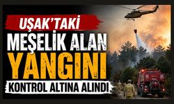 Uşak'taki Meşelik Alan Yangını Kontrol Altına Alındı