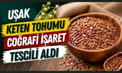 Uşak Keten Tohumu Coğrafi İşaret Tescili Aldı