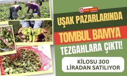 Uşak Pazarlarında Tombul Bamya Tezgahlara Çıktı! Kilosu 300 Liradan Satılıyor