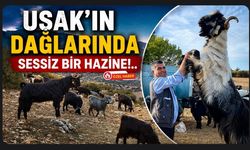 Uşak'ın Dağlarında Sessiz Bir Hazine!..