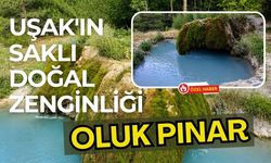 Uşak'ın Saklı Doğal Zenginliği, İlyaslı Köyü'ndeki Oluk Pınar
