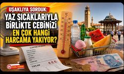 Uşaklıya Sorduk: Yaz Sıcaklarıyla Birlikte Cebinizi En Çok Hangi Harcama Yakıyor?