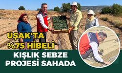 Uşak'ta %75 Hibeli Kışlık Sebze Projesi Sahada: Sirge'de Fide Dikimi ve Domates Hasadı İncelendi