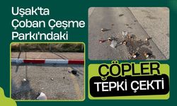 Uşak'ta Çoban Çeşme Parkı'ndaki Çöpler Tepki Çekti