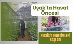 Uşak'ta Hasat Öncesi Pestisit Denetimleri Başladı