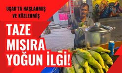Uşak'ta Haşlanmış ve Közlenmiş Taze Mısıra Yoğun İlgi! Günlük Satışlar Arttı