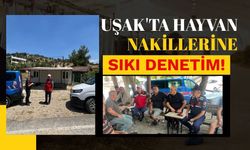 Uşak'ta Hayvan Nakillerine Sıkı Denetim! Kurallara Uymayanlara İdari İşlem