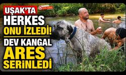 Uşak'ta Herkes Onu İzledi! Dev Kangal Ares Serinledi