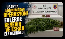Uşak'ta Jandarmadan Operasyon! Evlerde Kenevir ve Esrar Ele Geçirildi