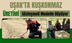Uşak'ta Kuşkonmaz Üretimi Sözleşmeli Modelle Büyüyor