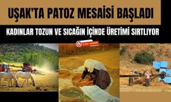 Uşak'ta Patoz Mesaisi Başladı, Kadınlar Tozun ve Sıcağın İçinde Üretimi Sırtlıyor