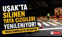 Uşak'ta Silinen Yaya Çizgileri Yenileniyor! Yüksek Rampalar da Boyanıyor