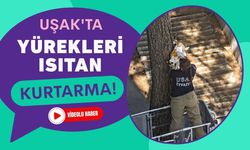 Uşak'ta Yürekleri Isıtan Kurtarma! Ağaçta Mahsur Kalan Kedi İtfaiyenin Şefkatli Elleriyle Kurtarıldı