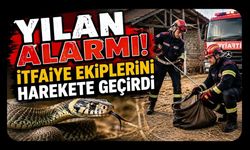 Yılan Alarmı! İtfaiye Ekiplerini Harekete Geçirdi