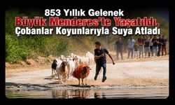 853 Yıllık Gelenek Büyük Menderes’te Yaşatıldı, Çobanlar Koyunlarıyla Suya Atladı