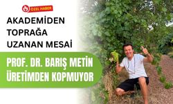 Akademiden Toprağa Uzanan Mesai, Prof. Dr. Barış Metin Üretimden Kopmuyor