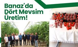 Banaz'da Dört Mevsim Üretim! Jeotermal Isıyla Yılda 12 Ay Sebze ve Meyve Yetiştiriliyor