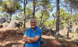 Prof. Dr. Doğanay Tolunay’dan Orman Yangınları İçin Dikkat Çeken Uyarı: Kriz Değil Risk Yönetimi