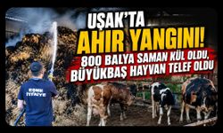 Uşak'ta Ahır Yangını! 800 Balya Saman Kül Oldu, Büyükbaş Hayvan Telef Oldu