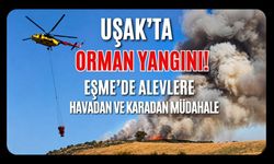 Uşak’ta Orman Yangını! Eşme’de Alevlere Havadan ve Karadan Müdahale