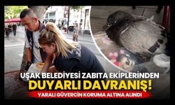 Uşak Belediyesi Zabıta Ekiplerinden Duyarlı Davranış! Yaralı Güvercin Koruma Altına Alındı