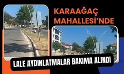 Karaağaç Mahallesi’nde Lale Aydınlatmalar Bakıma Alındı