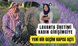 Lavanta Üretimi Kadın Girişimciye Yeni Bir Geçim Kapısı Açtı