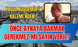 Önce Aynaya Bakmak Gerekmez mi Sayın Vekil?