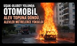 Uşak-Ulubey Yolunda Otomobil Alev Topuna Döndü, Alevler Metrelerce Yükseldi