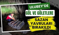 Ulubey’de Göl ve Göletlere Sazan Yavruları Bırakıldı