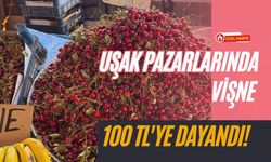 Uşak Pazarlarında Vişne 100 TL'ye Dayandı! Reçel Sezonunda Vatandaşın Hesabı Değişti