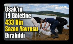 Uşak’ın 19 Göletine 433 Bin Sazan Yavrusu Bırakıldı