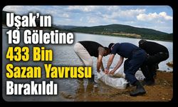 Uşak’ın 19 Göletine 433 Bin Sazan Yavrusu Bırakıldı
