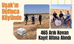 Uşak’ın Dutluca Köyünde 465 Arılı Kovan Kayıt Altına Alındı