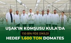 Uşak’ın Komşusu Kula’da 150 Bin Fide Dikildi, Hedef 1.600 Ton Domates
