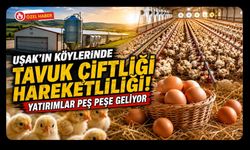 Uşak’ın Köylerinde Tavuk Çiftliği Hareketliliği, Yatırımlar Peş Peşe Geliyor