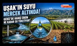 Uşak’ın Suyu Mercek Altında! Gediz’de Hangi Ürün Ne Kadar Su Tüketiyor?