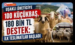 Uşaklı Üreticiye 100 Küçükbaş, 180 Bin TL Destek: İlk Teslimatlar Başladı