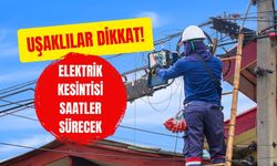 Uşaklılar Dikkat! Elektrik Kesintisi Saatler Sürecek