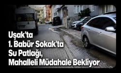 Uşak’ta 1. Babür Sokak’ta Su Patlağı, Mahalleli Müdahale Bekliyor