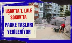 Uşak’ta 1. Lale Sokak’ta Parke Taşları Yenileniyor