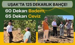 Uşak’ta 125 Dekarlık Bahçe! 60 Dekarı Badem, 65 Dekarı Ceviz