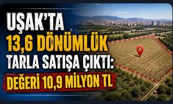 Uşak’ta 13,6 Dönümlük Tarla Satışa Çıktı: Değeri 10,9 Milyon TL
