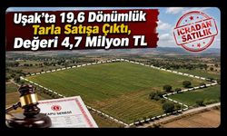 Uşak’ta 19,6 Dönümlük Tarla Satışa Çıktı, Değeri 4,7 Milyon TL