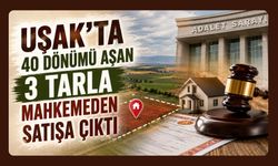 Uşak'ta 40 Dönümü Aşan 3 Tarla Mahkemeden Satışa Çıktı
